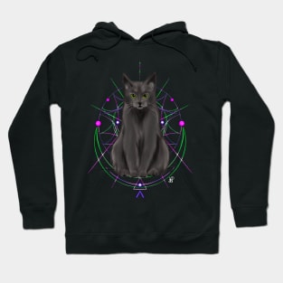 Psychedelic Cat Hoodie